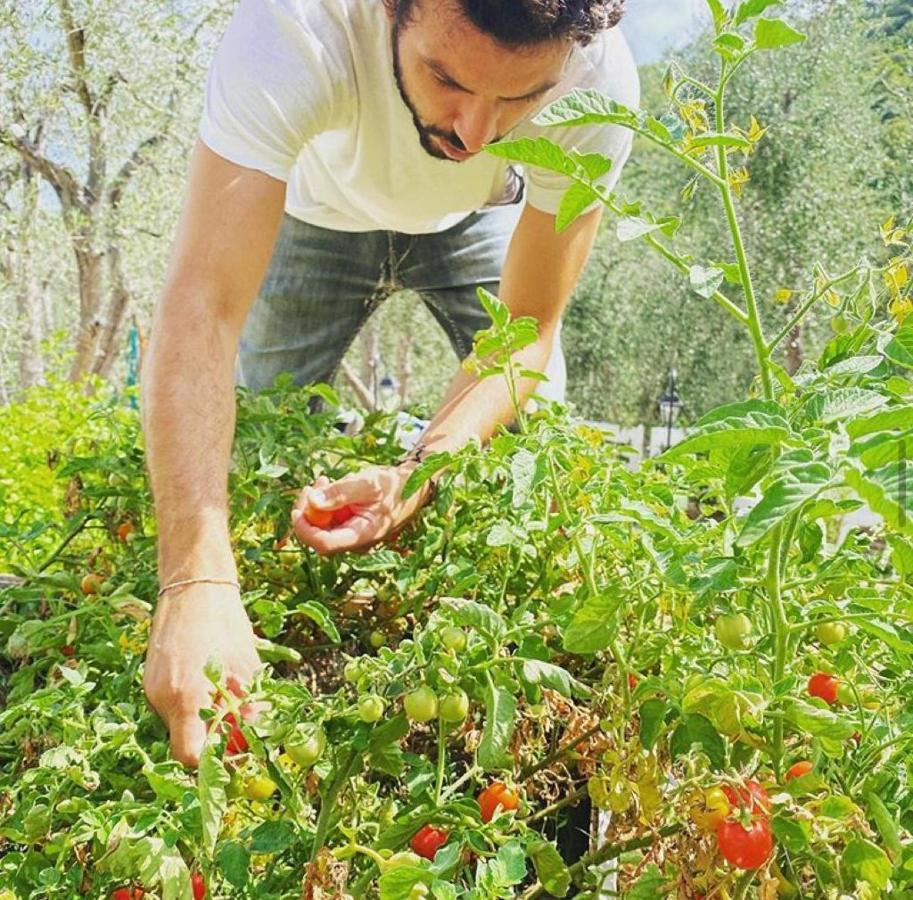 Shanti Βιέστε Εξωτερικό φωτογραφία